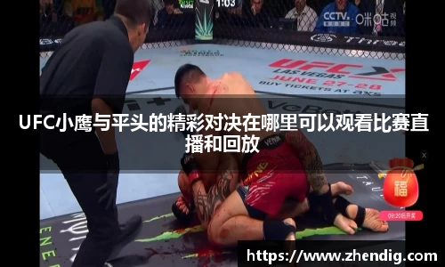 UFC小鹰与平头的精彩对决在哪里可以观看比赛直播和回放